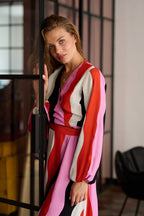 Chameleon Beyond the Lines reversible dress