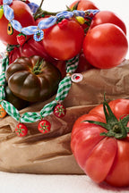 La Dolce Tomato Necklace