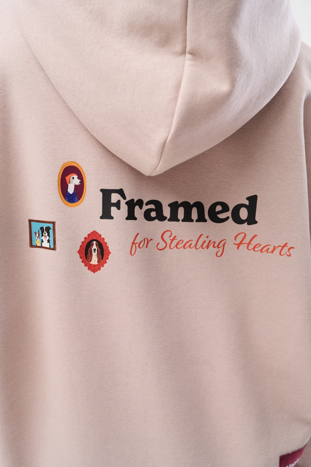 Gerahmtes Button-Down Sweatshirt