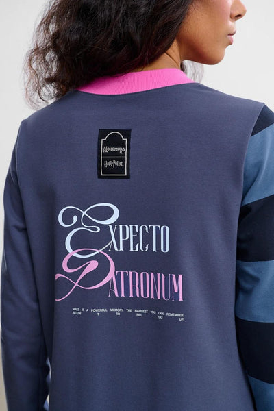 Grifondoro Harry Potter Sfondi Ragazza Sfondi Tumblr : Disegni Di Harry