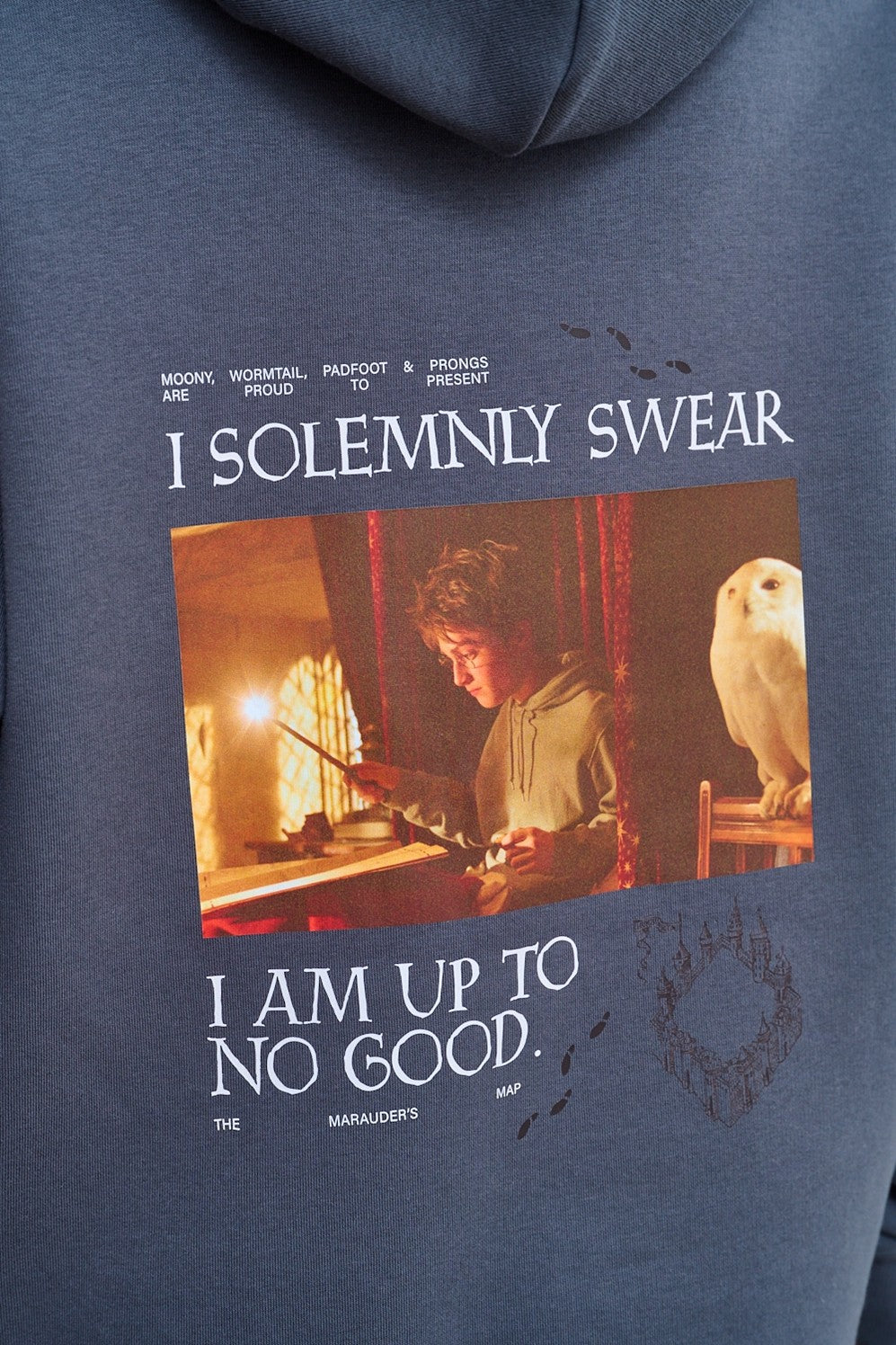 I Solemnly Swear Hoodie