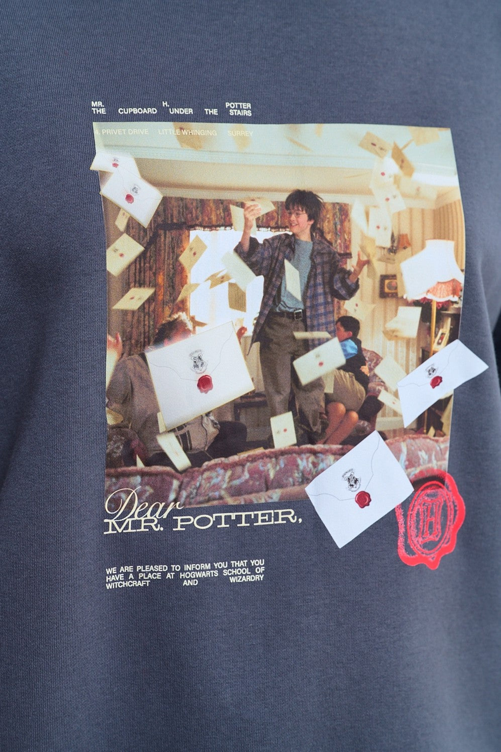 Dear Potter sweatshirt