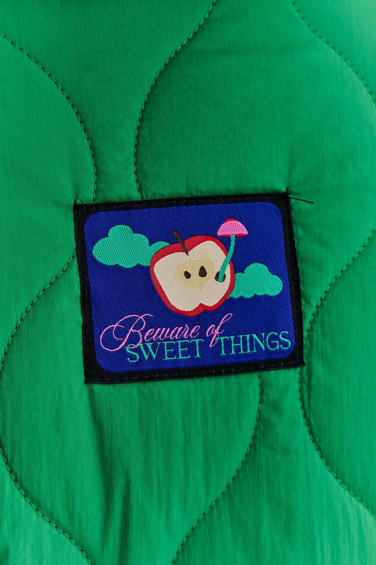 Geacă de iarnă reversibilă Iceberg Deep Roots