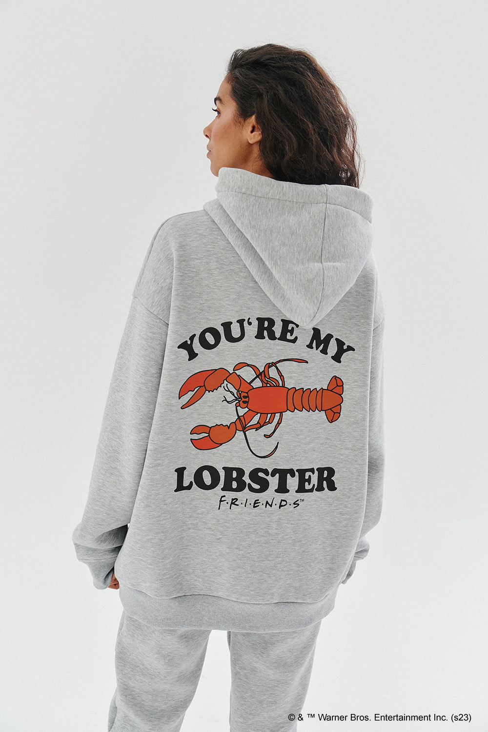 Jij bent mijn kreeft hoodie